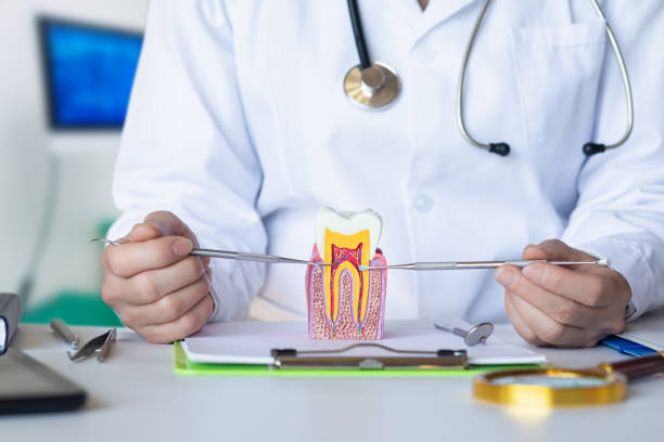 Best Emergency Wisdom Teeth Removal in Pottsville, AR